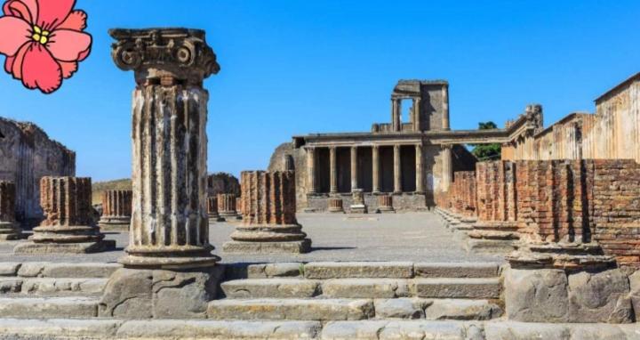Bed and Breakfast Pompei House Scafati Zewnętrze zdjęcie
